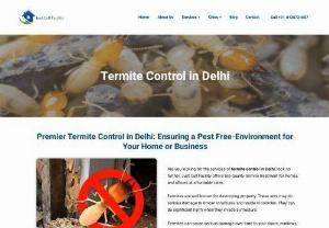 Termite Control in Delhi | Just Call Facility - Just Call Facility offers reliable services for termite control in Delhi to protect your property from termite infestation. Call now for effective solution. 