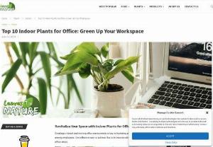 Discover the Top 10 Indoor Plants for Office Environments - Transform your office into a thriving oasis with our top 10 indoor plants. From the air-purifying peace lily to the low-light champion snake plant, discover the perfect green companion for your workspace.