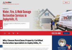 PuroClean of Zephyrhills - Why Choose PuroClean Property Certified Restoration Specialists in Zephyrhills, FL  Whether you have a fire, water, mold damage, or a biohazard, that occurs in your Pasco County area home or business, you can trust PuroClean Certified Property Restoration Specialists to start your journey to full recovery. Weve dealt with anything from a burst pipe to a catastrophic storm damage. Our number one goal is to get your property back to the way it was before the damage.