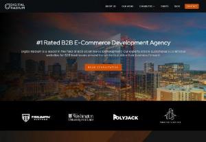 B2B eCommerce Development Agency | B2B eCommerce Development - Digital Radium is a Top B2B eCommerce Development Agency. Get into eCommerce today and grow your business around the globe. Contact our experts today! 