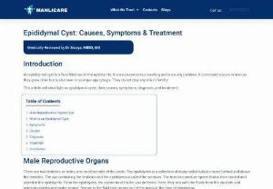 Epididymal Cyst: Causes, Symptoms & Treatment - Epididymal cyst insight: Discover causes, symptoms, and treatments. Take control of your reproductive health with expert guidance.