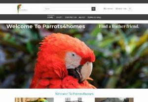 Parrots for homes - Parrots4homes is a family-run Model Aviculture Program (MAP) certified parrot breeder. We specialize in breeding, training and taming different types of parrots. These would be Macaws, Cockatoos, Amazon and African Grey parrots etc.