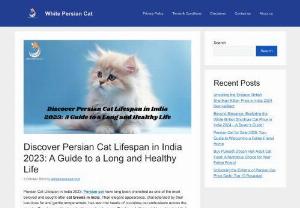 Persian Cat Lifespan in India 2023: A Guide to a Long and Healthy Life - Persian Cat Lifespan in India 2023: Persian cat have long been cherished as one of the most beloved and sought-after cat breeds in India. Their elegant appearance, characterized by their luxurious fur and gentle temperament, has won the hearts of countless cat enthusiasts across the country. If you’re considering adopting or already own a Persian cat, it’s crucial to understand their lifespan and how to ensure they lead a happy and healthy life.
