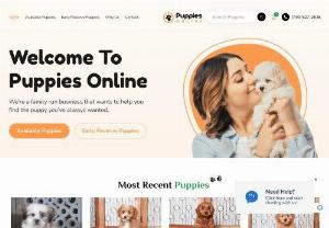 Little Puppies Online - Little Puppies Online aims to be the ultimate destination for puppies for sale. We connect prospective pet owners with the most adorable French bulldog puppies, Yorkie puppies, Havanese puppies, and more.