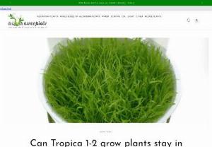 Can Tropica 1-2 grow plants stay in pot indefinitely? - They are grown in a nutrient rich solution that has a shelf life like anything in this world. Typically, the faster the plant grows, the less time it can stay in the jellied pot. So plants such as mosses which grow very slowly can stay in their pots for probably a few months and if you pop them in the fridge, they will last even longer - but the fridge really needs a light in for them to survive for the longest amount of time.