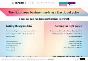 Expert-Fit - Connecting business with experienced fractional executives, anywhere across the globe