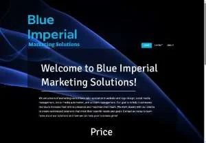 Screenshot of Blue Imperial Marketing Solutions