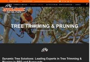 Arborist Brisbane - Are you looking for a highly skilled Arborist in Brisbane? Don't look further, Dynamic Tree Solutions is the perfect place where you can find professional Arborists who can make your Garden & surroundings clean and perfect. Visit our website now!!