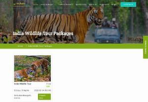 India Wildlife Tour Packages - Plan your trip with our comprehensive list of wildlife tour packages in India and get the best deals and offers on wildlife holiday packages.