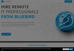 Bluebird International - We specialize in finding and sourcing IT experts with skillsets matched precisely to your objectives, whether you seek to outsource roles for a set duration (IT staff augmentation) or look to hire permanent employees (IT recruitment).