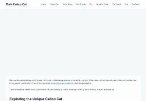 Male calico cat - Rare Marvel: The Mystery of the Male Calico Cat Unveiled