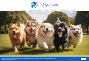 MS TeamVet - MSteamVet: Book your home visits with home veterinarians in Rome, Dr. Marino and Dr. Stramigioli, to offer your pets personalized care in the comfort of home.
