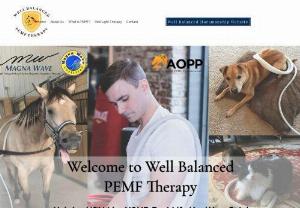 Well Balanced PEMF Therapy - Reduce Pain and Inflammation Drug Free With PEMF Sessions. We conduct sessions at our location or can travel to you!