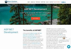 Net Web Application - Keene Systems, Inc. is your go-to partner for ASP.NET Core development, specializing in robust .NET web applications and online database management systems. 
