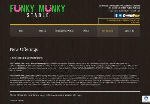 Horse Racing Partnerships - Funky Munky offers horse racing partnerships for potential new racers. We offer thoroughbred and harness race horse partnerships.