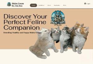 Maine Coons By The Sea - Where the gentle sea breeze meets the majestic beauty of Maine Coon cats. Nestled by the tranquil shores of Delaware, our cattery is a haven for these magnificent felines. We are passionate about nurturing and raising Maine Coons that aren't just pets, but lifelong companions.