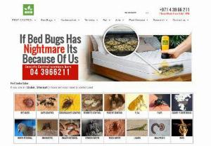 Akkad Pest Control Services - Established in 1991 in Dubai, Akkad Pest Control Services has been dedicated to managing a variety of insect infestations, including cockroaches, ants, bed bugs, and termites. Over the years, we have successfully served over 450,000 customers in Dubai throughout the UAE.
