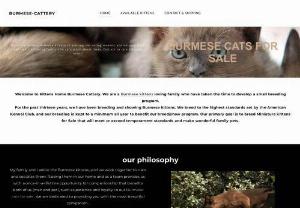burmese cats for sale - Burmese cats for sale For more than thirty years and three generations, our family has selectively and carefully bred Traditional Burmese kittens for sale.