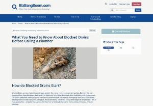 What You Need to Know About Blocked Drains Before Calling a Plumber - Blocked drains can be a frustrating and messy problem that many homeowners sometimes face. But have you ever wondered how these blockages start? Well, it all begins with what goes down your drain