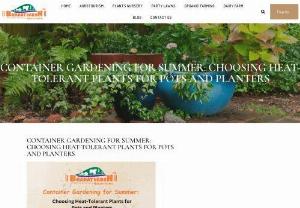 CONTAINER GARDENING FOR SUMMER: CHOOSING HEAT-TOLERANT PLANTS FOR POTS AND PLANTERS - Summer is a time when many gardeners turn their attention to container gardening. Whether you have limited space, a desire for mobility, or simply want to add a touch of greenery to your indoor and outdoor living areas, container gardening offers a versatile and rewarding solution. However, the scorching heat of summer can pose a challenge for plants, making it crucial to select heat-tolerant species that can thrive in pots and planters.