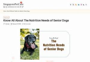  Senior Dog Nutrition: Needs &amp; Supplements for Senior Dogs  - Get comprehensive information on supplements tailored for senior dogs, addressing their unique dietary requirements and understanding how supplements contribute to sustaining their well-being and vigor.