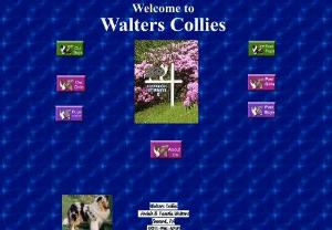 Walters Collies - Collie Puppies - kennel