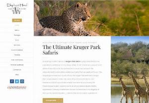 Elephant Herd Kruger Park Safaris and Tours - Choose from 5 different Kruger Park Safari, designed with small, private groups in mind, or customise your own tour.