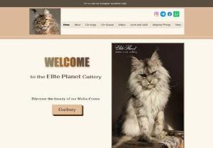 Elite Planet Maine Coon Cattery - Maine coons from our cattery are European blood lines only. We are focused on breeding elite class Maine coons. Our graduates live in 43 countries around the world. Many of them are BIS and BOB champions of cat shows under different international systems: TICA, WCF, FIFE,CFA