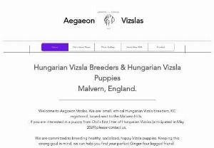Aegaeon Vizslas - We are  small ethical Hungarian Vizsla breeders, KC registered,  based next to the Malvern Hills.   If you are interested in a puppy from Obi's first litter of Hungarian Vizslas (anticipated in May 2024) please contact us.