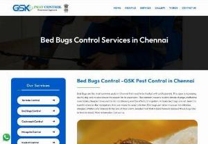 Bed Bugs Control Services in Chennai - GSK Pest Control offer exciting packages for bed bugs control services in Chennai, providing complete protection against bed bugs removal.