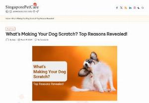 Dog scratching face | dog itching  - Discover the top reasons why your dog is scratching with our insightful guide! Uncover the underlying causes behind your pet&#039;s itchiness and find effective solutions to ensure their comfort and well-being.