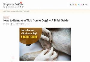 Removing a tick from a dog  - Check the key steps to safely remove ticks from your dog with our concise guide. Protect your furry friend&#039;s health and well-being by effectively eliminating ticks.