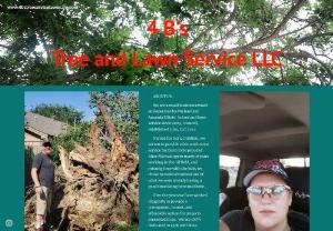 4 Bs Tree and Lawn Service LLC - Address: 208 Country Side Ct, Springtown, TX 76082, USA || Phone: 817-602-8394