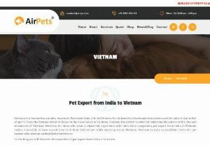Pet Export from India to Vietnam - Vietnam is a fascinating country located in Southeast Asia. It is well known for its beautiful landscape, rich history and its culture that is full of spirit. From the buzzing street of Hanoi to the clean beach of Da Nang. Vietnam has plenty to offer for exploring the nature of the city and adventures of Vietnam. However, for those who want to share this experience with their furry companion, pet export from India to Vietnam makes it possible to have a good time with their beloved pet...
