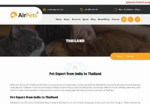 Pet Export from India to Thailand - Welcome pet lovers! This blog will take you through an exciting journey across the national boundaries touring the process of exporting pets from India to Thailand. If you are relocating or simply want to bring your furry friend for a trip along with you for an exciting adventure, read below to find out the essential information for a stress-free journey pet relocation process from India to Thailand.