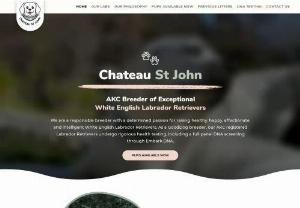 chateaustjohn - We are a responsible breeder with a determined passion for raising healthy, happy, affectionate, and intelligent White English Labrador Retrievers. As a GoodDog breeder, our AKC registered Labrador Retrievers undergo rigorous health testing, including a full panel DNA screening through Embark DNA.