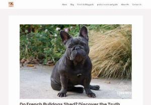 French Bull Dog Expert - Hi, I Am Anna Welch. I Am A Veterinary Doctor & I Write For Most Beautiful Creatures.