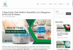 Pink Mold In Humidifier, Is It Dangerous? - If you notice pink mold growing in your humidifier, it is important to recognize the fact that your humidifier requires extensive cleaning. You’ll be glad to learn it is a typical problem that can be eliminated with a few easy steps.