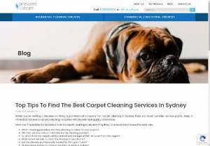 Top Tips To Find The Best Carpet Cleaning Services In Sydney - When you’re making a decision on hiring a professional company for carpet cleaning in Sydney then you must consider various points. Keep in mind that not every carpet cleaning in Sydney will provide high quality of services. Here are 7 questions to be asked from a carpet cleaning company in Sydney to ensure you choose the best one.