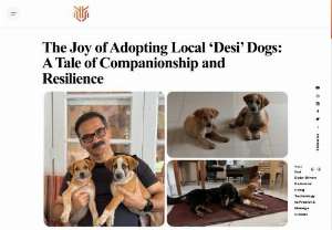 The Joy of Adopting Local ‘Desi’ Dogs: A Tale of Companionship and Resilience - Five years ago, while serving as the Inspector General of Police in Aurangabad, a delightful canine named Leo came into my life. Our journey wasn’t without its twists and turns, as circumstances initially prevented us from being together in Mumbai, and Leo found a temporary home with a friend in Aurangabad. However, fate would have it that Leo’s stay in Aurangabad came to an end due to home renovations, and he was once again in need of a home. Without hesitation, I...