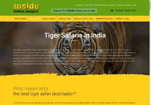 Tiger safari in India - Book a tiger safari tour from Inside Indian Jungles.