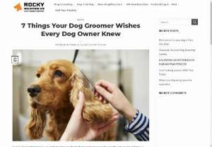 7 Things Your Dog Groomer Wishes Every Dog Owner Knew - If you&rsquo;re like most pet owners, you probably take your dog to the groomer once every few months, and you may not know a whole lot about what actually goes on during those grooming appointments. This blog post will cover 7 things that your Park City dog grooming facility wishes you knew about the dog grooming process.