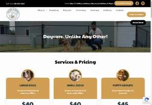The Dog Academy: Get Experienced Dog Daycare Houston Texas Service - Do you want to send your dog to a daycare while you get important things done? Checkout The Dog Academy. Whether you are going out for a day or a long time, this facility provides efficient dog daycare Houston Texas and boarding services. The staff is trained and highly professional to help dogs stay at the boarding.