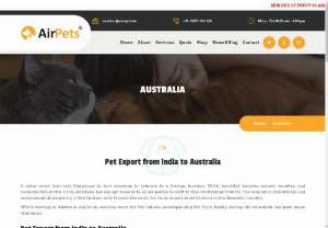 Pet Export from India to Australia - It takes more than just Kangaroos to lure someone to relocate to a foreign location. With beautiful beaches, natural wonders, and cosmopolitan metro cities, Australia has enough reasons to allure people to shift to this continental country. The economic, educational and environmental prosperity of the land not only favours the locals but lures ex-pats to settle down in this beautiful country.  