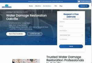 Expert Water Damage Restoration Services in Oakville - When water damage strikes, trust the experts in Oakville to restore your property quickly and efficiently. Our professional water damage restoration services are designed to mitigate the effects of water damage, ensuring a thorough and effective recovery process. From emergency water extraction and drying to comprehensive mold remediation and structural repairs, our team is equipped with the latest technology and expertise to handle any water damage situation. Contact us today for...