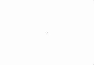 Screenshot of Online Tutoring Services | Tutorwaves
