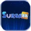 Site icon
