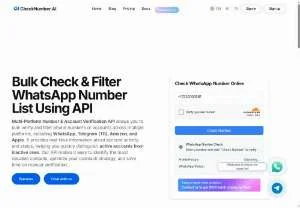 Screenshot of WhatsApp Number Checker