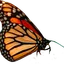 Site icon