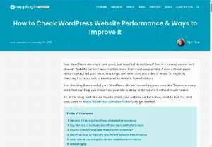 Screenshot of How to Evaluate the Performance of Your WordPress Website